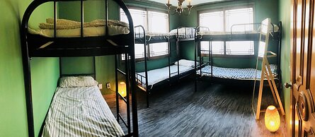 Avocado Guesthouse - Hostel