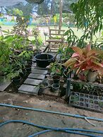 Moutain View Guest House