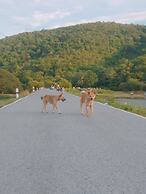 Moutain View Guest House