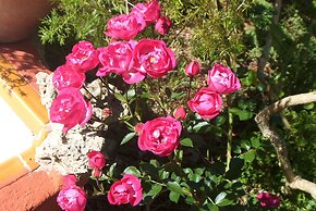 Sunset Private Eco-Villa Can Vey