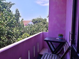 Pink House Homestay