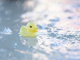 Tabist Yuen no yado Fujimi