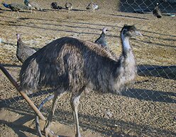 Eden Self Catering Chalets