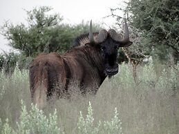 Eden Self Catering Chalets