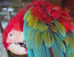 Eden Self Catering Chalets