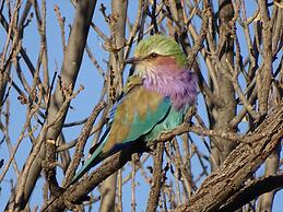 Eden Self Catering Chalets