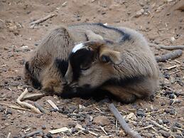 Eden Self Catering Chalets