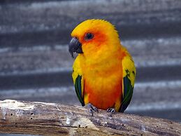 Eden Self Catering Chalets