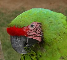 Eden Self Catering Chalets