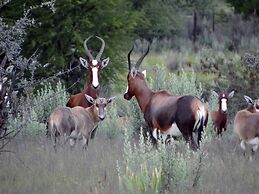 Eden Self Catering Chalets