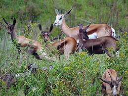 Eden Self Catering Chalets