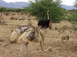 Eden Self Catering Chalets