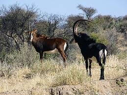 Eden Self Catering Chalets