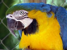 Eden Self Catering Chalets