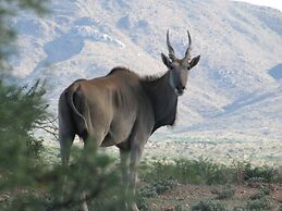 Eden Self Catering Chalets