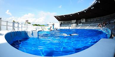 MIMARU KYOTO NIJO CASTLE
