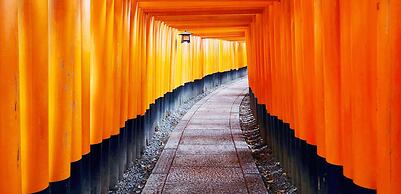 MIMARU KYOTO NIJO CASTLE