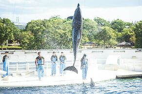 MIMARU KYOTO NIJO CASTLE