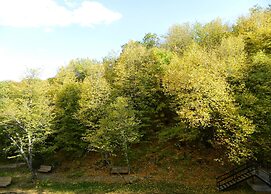 Tsaghkahovit