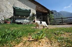 B&B Rocca di Bajedo