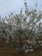 Casa Rural la Vallejera
