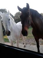 Casa Rural la Vallejera