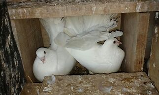 Casa Rural la Vallejera