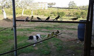 Casa Rural la Vallejera