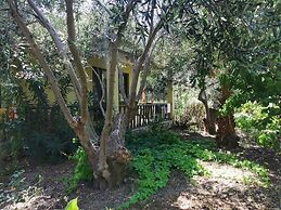 Assos Büyük Yıldızsaray Otel