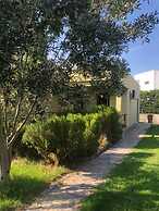 Assos Büyük Yıldızsaray Otel