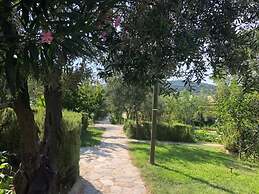 Assos Büyük Yıldızsaray Otel