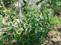 Assos Büyük Yıldızsaray Otel