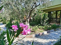 Assos Büyük Yıldızsaray Otel