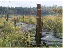 Hensbacka Herrgård