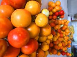 Villa B&B Antiche Macine del Salento