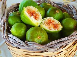 Villa B&B Antiche Macine del Salento