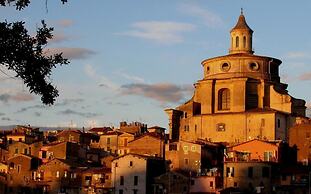 Olive Tree Hill