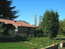 Olive Tree Hill