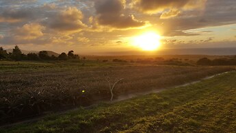 Maunga roa eco lodge