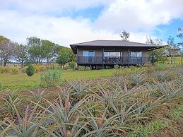 Maunga roa eco lodge