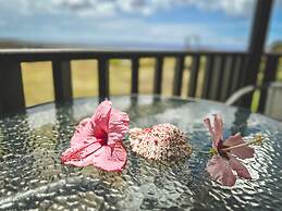 Maunga roa eco lodge