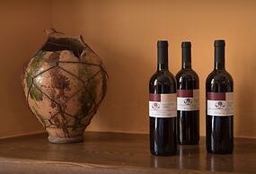 Agriturismo Il Giardino dei Ciliegi