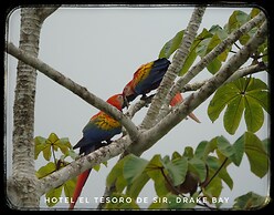 El Tesoro de Sir Hotel