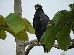 El Tesoro de Sir Hotel