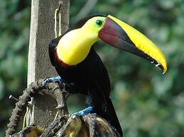 El Tesoro de Sir Hotel