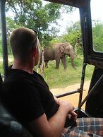 Nehansa Resort and Safari