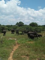 Nehansa Resort and Safari