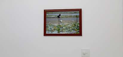 Nehansa Resort and Safari