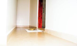 Distinctions Gardens Guest House