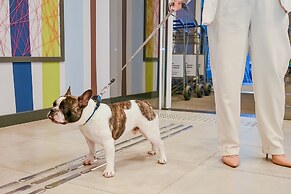 ibis budget Santos Gonzaga